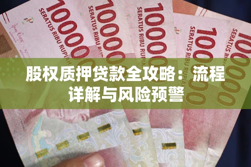 武汉股权质押贷款全攻略：流程详解与风险预警
