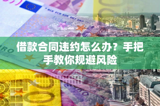 武汉借款合同违约怎么办？手把手教你规避风险