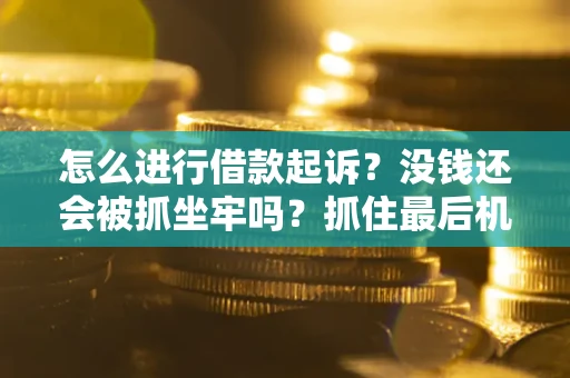 武汉怎么进行借款起诉？没钱还会被抓坐牢吗？抓住最后机会！