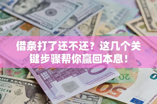 武汉借条打了还不还？这几个关键步骤帮你赢回本息！