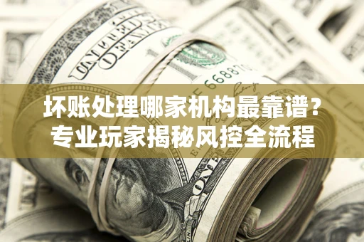 武汉坏账处理哪家机构最靠谱？专业玩家揭秘风控全流程