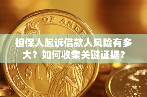 武汉担保人起诉借款人风险有多大？如何收集关键证据？
