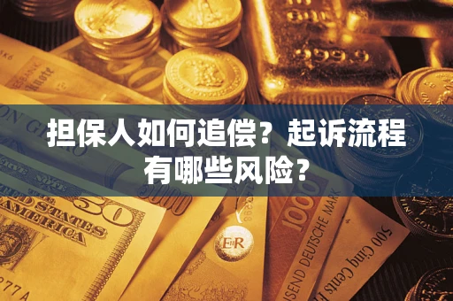 武汉担保人如何追偿？起诉流程有哪些风险？