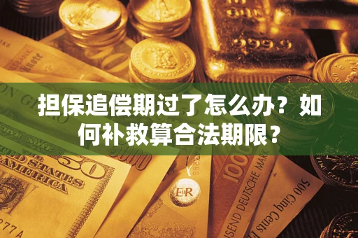 武汉担保追偿期过了怎么办？如何补救算合法期限？
