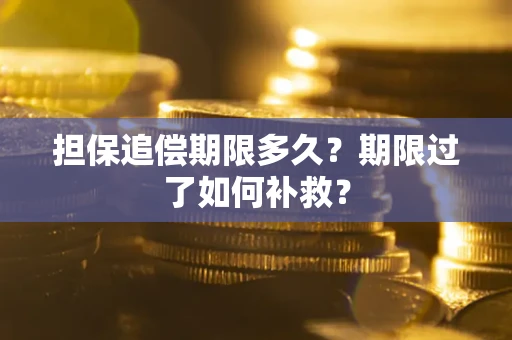 武汉担保追偿期限多久？期限过了如何补救？