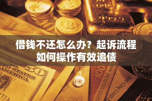 武汉借钱不还怎么办？起诉流程如何操作有效追债