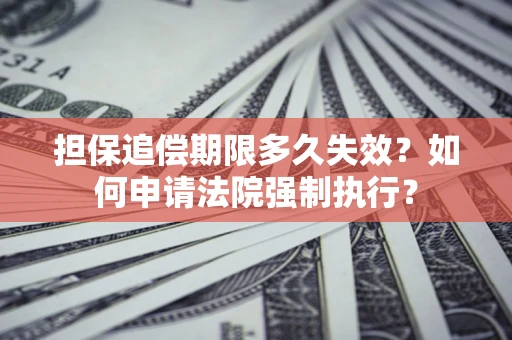 武汉担保追偿期限多久失效？如何申请法院强制执行？