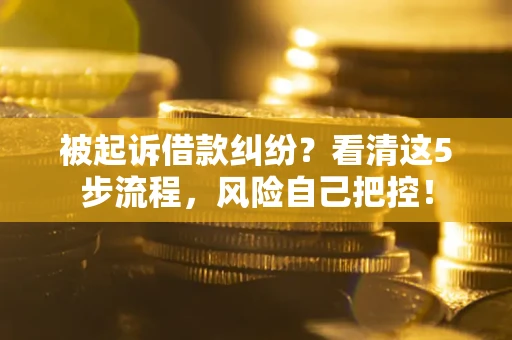 武汉被起诉借款纠纷？看清这5步流程，风险自己把控！