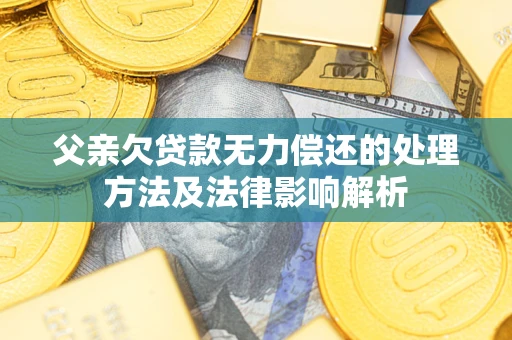 武汉父亲欠贷款无力偿还的处理方法及法律影响解析
