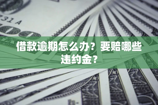 武汉借款逾期怎么办？要赔哪些违约金？