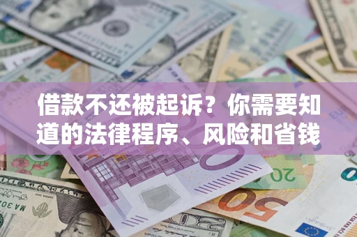 武汉借款不还被起诉？你需要知道的法律程序、风险和省钱技巧